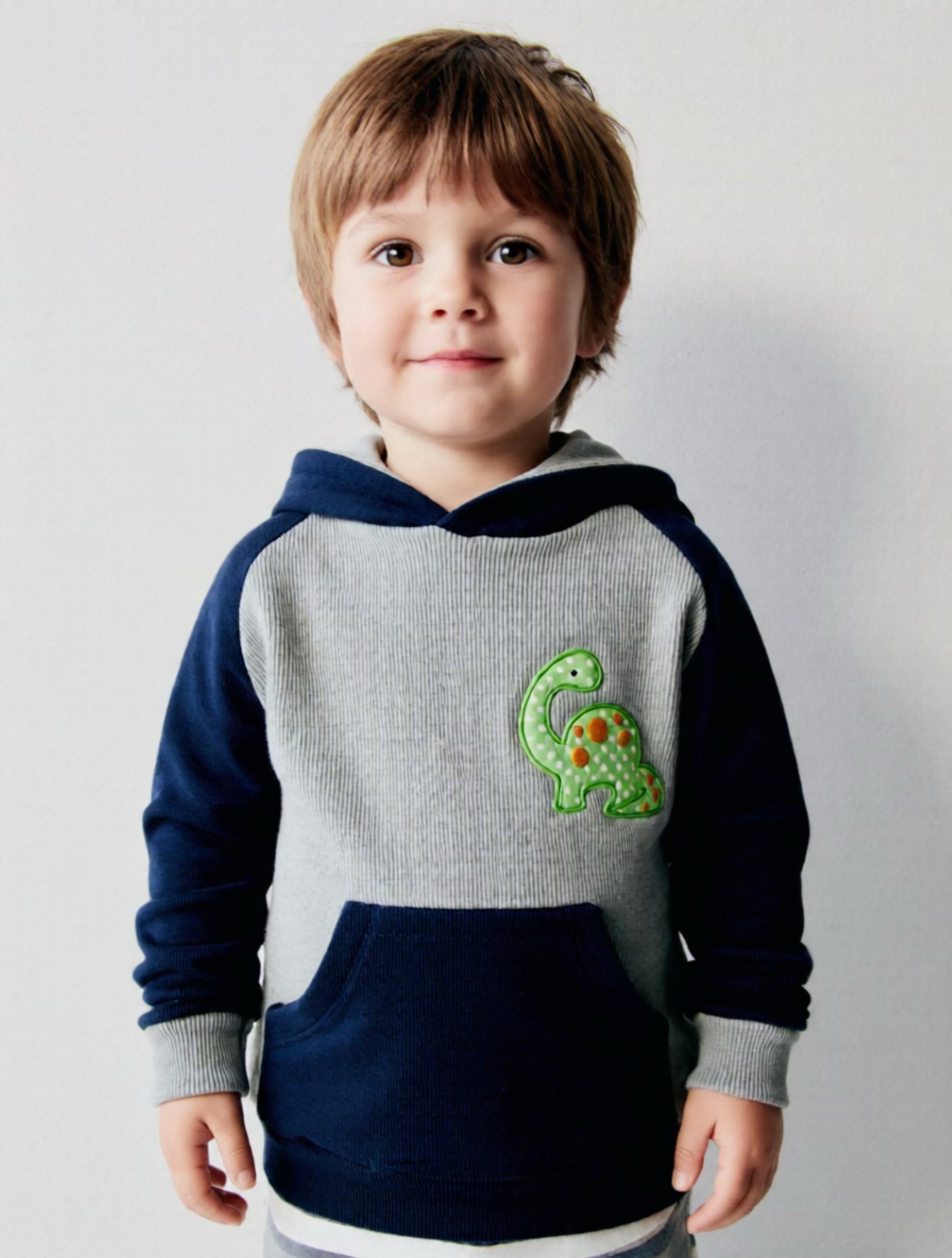 Boys  Dino Pull Over Hoodie