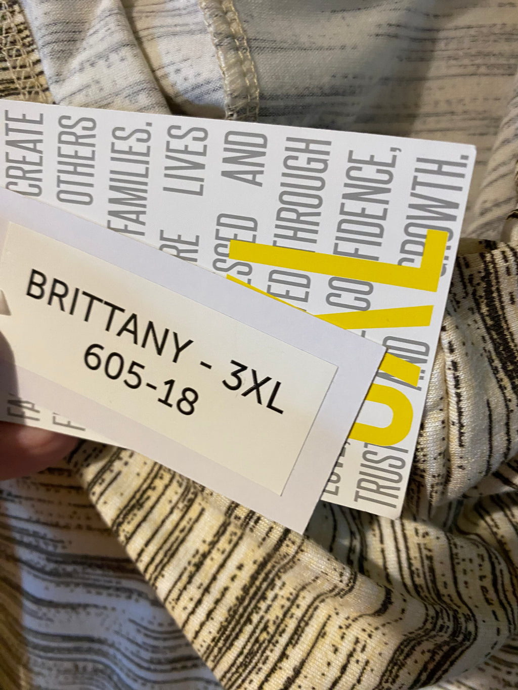 Lularoe Brittany Hooded Tank